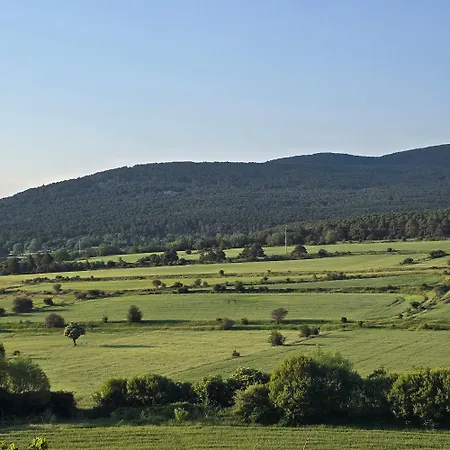 El Jaral