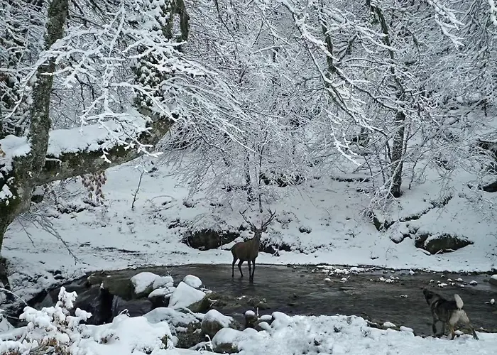 Appartement El Jaral